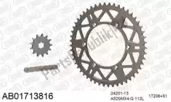 Here you can order the chain kit chain kit, alu ab from Afam, with part number 390AB01713816:
