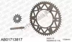 Here you can order the chain kit chain kit, alu ab from Afam, with part number 390AB01713817: