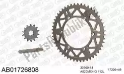 Qui puoi ordinare kit catena kit catena, alu ab da Afam , con numero parte 390AB01726808:
