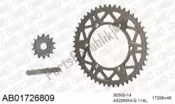 Here you can order the chain kit chain kit, alu ab from Afam, with part number 390AB01726809: