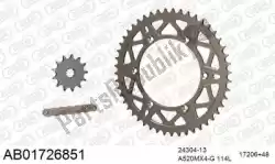 Here you can order the chain kit chain kit, alu ab from Afam, with part number 390AB01726851: