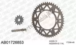 Here you can order the chain kit chain kit, alu ab from Afam, with part number 390AB01726853: