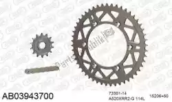 Here you can order the chain kit chain kit, alu ab from Afam, with part number 390AB03943700: