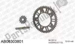 Here you can order the chain kit chain kit, alu ab from Afam, with part number 390AB06303801: