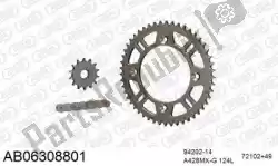 Here you can order the chain kit chain kit, alu ab from Afam, with part number 390AB06308801: