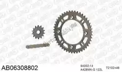 Here you can order the chain kit chain kit, alu ab from Afam, with part number 390AB06308802: