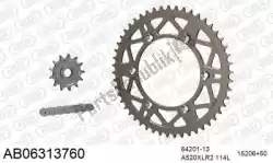 Here you can order the chain kit chain kit, alu ab from Afam, with part number 390AB06313760: