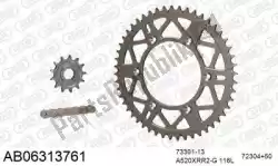 Here you can order the chain kit chain kit, alu ab from Afam, with part number 390AB06313761: