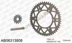 ketting kit chainkit, alu ab van Afam, met onderdeel nummer 390AB06313808, bestel je hier online: