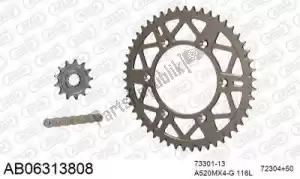 AFAM 390AB06313808 ketting kit chainkit, alu ab - Onderkant