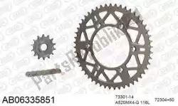 Here you can order the chain kit chain kit, alu ab from Afam, with part number 390AB06335851: