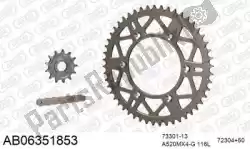 Here you can order the chain kit chain kit, alu ab from Afam, with part number 390AB06351853: