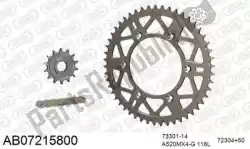 Here you can order the chain kit chain kit, alu ab from Afam, with part number 390AB07215800: