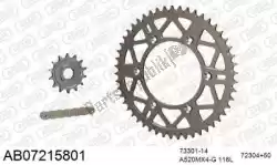 Here you can order the chain kit chain kit, alu ab from Afam, with part number 390AB07215801: