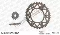 390AB07221802, Afam, Kit de corrente kit de corrente, alu ab    , Novo
