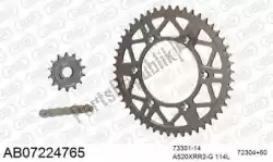 Here you can order the chain kit chain kit, alu ab from Afam, with part number 390AB07224765:
