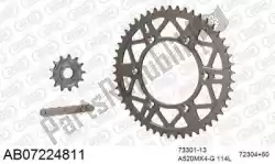 Here you can order the chain kit chain kit, alu ab from Afam, with part number 390AB07224811: