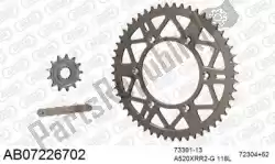 Here you can order the chain kit chain kit, alu ab from Afam, with part number 390AB07226702: