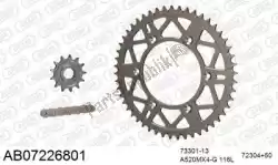 Here you can order the chain kit chain kit, alu ab from Afam, with part number 390AB07226801: