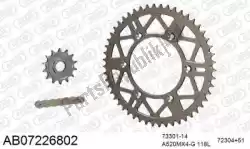 Here you can order the chain kit chain kit, alu ab from Afam, with part number 390AB07226802:
