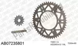 Here you can order the chain kit chain kit, alu ab from Afam, with part number 390AB07235801: