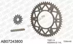 Here you can order the chain kit chain kit, alu ab from Afam, with part number 390AB07243800: