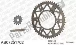 Here you can order the chain kit chain kit, alu ab from Afam, with part number 390AB07251702: