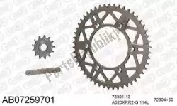 Here you can order the chain kit chain kit, alu ab from Afam, with part number 390AB07259701: