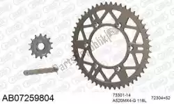 Here you can order the chain kit chain kit, alu ab from Afam, with part number 390AB07259804:
