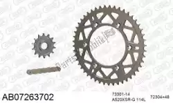 Here you can order the chain kit chain kit, alu ab from Afam, with part number 390AB07263702: