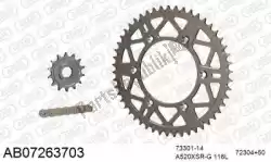 Here you can order the chain kit chain kit, alu ab from Afam, with part number 390AB07263703: