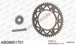 Here you can order the chain kit chain kit, alu ab from Afam, with part number 390AB09651701: