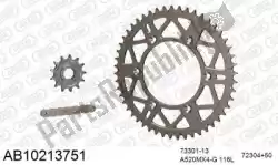 Here you can order the chain kit chain kit, alu ab from Afam, with part number 390AB10213751: