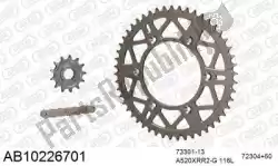 Here you can order the chain kit chain kit, alu ab from Afam, with part number 390AB10226701: