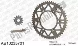 Here you can order the chain kit chain kit, alu ab from Afam, with part number 390AB10235701: