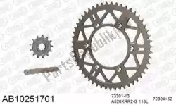 Here you can order the chain kit chain kit, alu ab from Afam, with part number 390AB10251701: