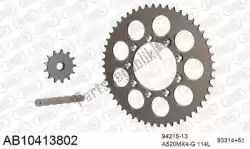 Here you can order the chain kit chain kit, alu ab from Afam, with part number 390AB10413802: