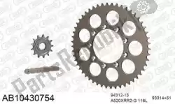 Here you can order the chain kit chain kit, alu ab from Afam, with part number 390AB10430754: