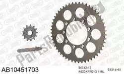 Here you can order the chain kit chain kit, alu ab from Afam, with part number 390AB10451703: