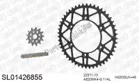 390SL01426855, Afam, Chain kit chain kit, steel slk    , New