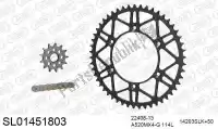 390SL01451803, Afam, Ketting kit chainkit, steel slk    , Nieuw