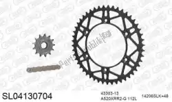 Here you can order the chain kit chain kit, steel slk from Afam, with part number 390SL04130704: