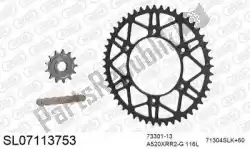Here you can order the chain kit chain kit, steel slk from Afam, with part number 390SL07113753: