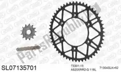 Here you can order the chain kit chain kit, steel slk from Afam, with part number 390SL07135701: