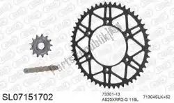 Here you can order the chain kit chain kit, steel slk from Afam, with part number 390SL07151702: