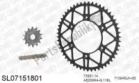 390SL07151801, Afam, Kit chaine kit chaine, acier slk    , Nouveau