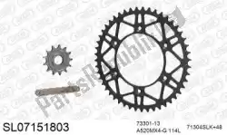 Here you can order the chain kit chain kit, steel slk from Afam, with part number 390SL07151803: