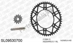 Here you can order the chain kit chain kit, steel slk from Afam, with part number 390SL09530700: