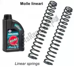 Here you can order the sd fork springs kit scooter + 2l oil from Bitubo, with part number BI25230: