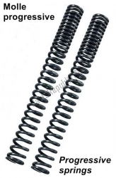 Here you can order the sd fork springs kit progressive, 1l oil from Bitubo, with part number BI27030: